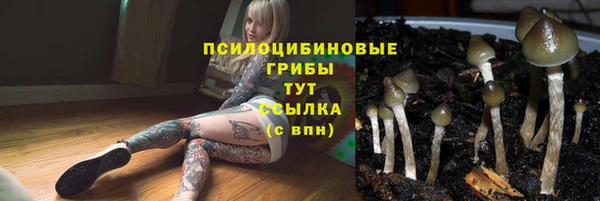 а пвп мука Алзамай