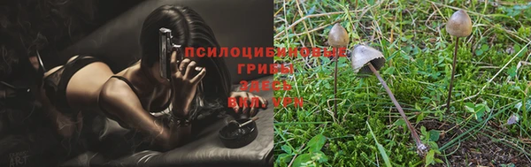 mdpv Алексеевка