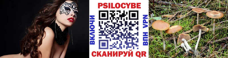 Галлюциногенные грибы Cubensis  Чёрмоз 